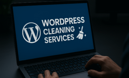 WordPress Cleaning Services